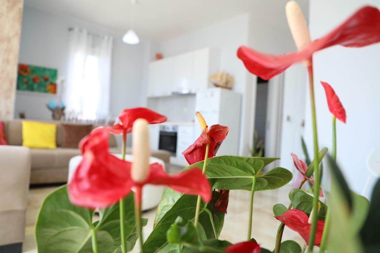 Hakunna Matata Residence & Apartments Vlorë Eksteriør bilde